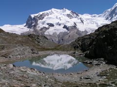 Monte Rosa am Riffelsee